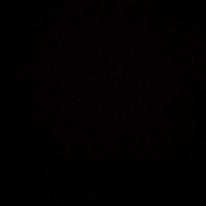 Meet your Posher, Kolbie